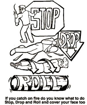 stop,drop,androll